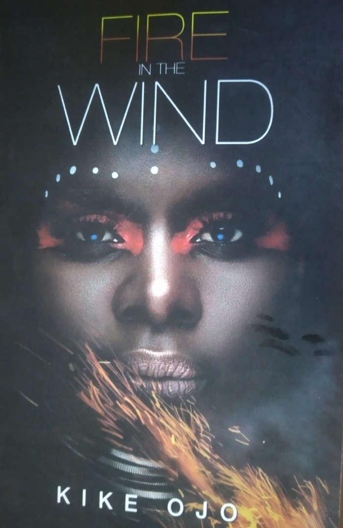 Book Review: Kike Ojo’s Fire in the Wind — When Is Success Enough in a Jaundiced&nbsp;Society?